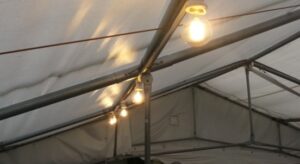 Marquee Festoon Lighting (10m String)
